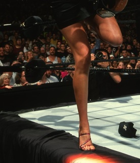 Stephanie McMahon feet photo 4