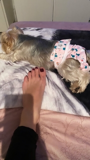 Franciely Freduzeski feet photo thumbnail