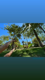 Shailene Woodley feet photo thumbnail