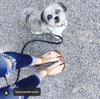 Laura Vandervoort feet photo thumbnail