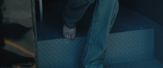 Dominique McElligott feet photo 2