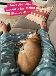 Angela Kinsey feet photo thumbnail