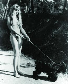 Brigitte Bardot feet photo thumbnail