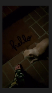 Angela Kinsey feet photo thumbnail