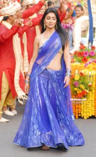 Shriya Saran feet photo thumbnail