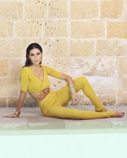 Elisabetta Gregoraci feet photo thumbnail
