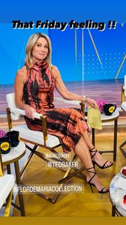 Amy Robach feet photo thumbnail