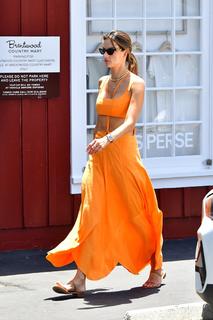Alessandra Ambrosio feet photo thumbnail