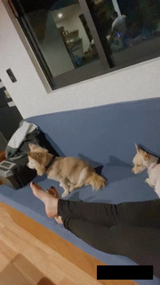 Yoseline Hoffman feet photo thumbnail