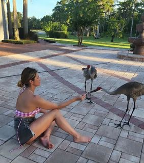 Lívia Andrade feet photo thumbnail