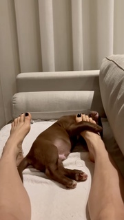 Camila Queiroz feet photo thumbnail