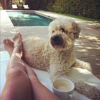 Daisy Fuentes feet photo thumbnail