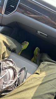 Duygu Özaslan feet photo thumbnail