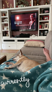 Angela Kinsey feet photo thumbnail