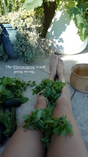 Nikki Reed feet photo thumbnail