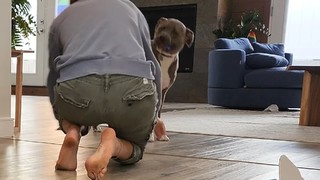 Rachel Ballinger feet photo thumbnail