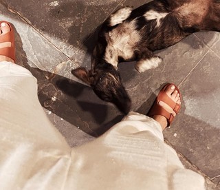 Giovanna Lancellotti feet photo thumbnail