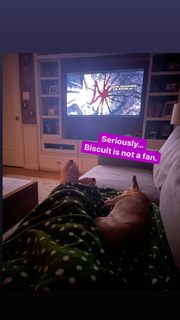 Angela Kinsey feet photo thumbnail