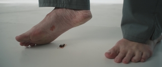 Kate Bosworth feet photo thumbnail