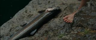 Amber Heard feet photo thumbnail