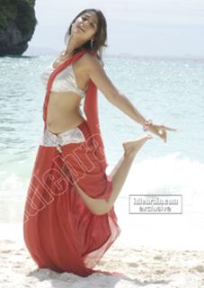 Ileana D'Cruz feet photo thumbnail