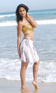 Ileana D'Cruz feet photo thumbnail