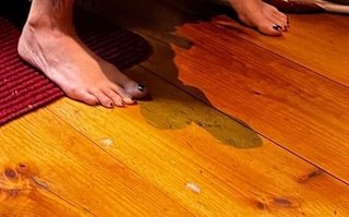 Morena Baccarin feet photo thumbnail
