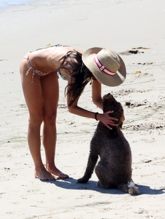 Jordana Brewster feet photo thumbnail