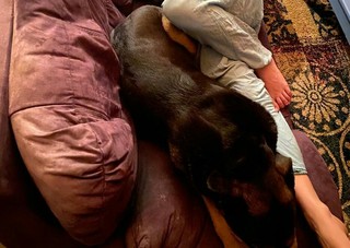 Briana Evigan feet photo 1