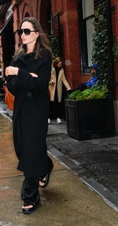 Angelina Jolie feet photo thumbnail