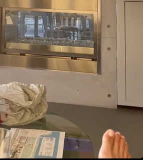Danica Patrick feet photo thumbnail