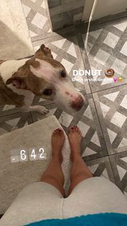 Ludovica Frasca feet photo thumbnail