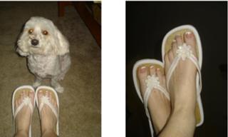 Cat Deeley feet photo thumbnail