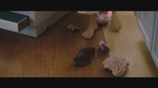 Kate Hudson feet photo thumbnail