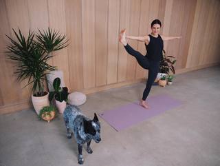 Adriene Mishler feet photo thumbnail
