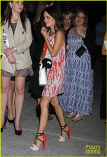 Rachel Bilson feet photo thumbnail