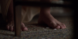 Shantel VanSanten feet photo thumbnail