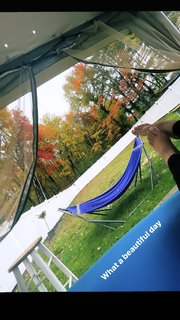 Jenelle Jcakess feet photo thumbnail