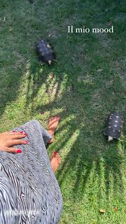 Caterina Balivo feet photo thumbnail