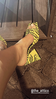 Larsa Pippen feet photo thumbnail