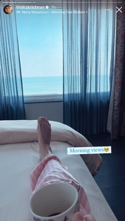 Trisha Krishnan feet photo thumbnail