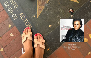 Caterina Balivo feet photo thumbnail