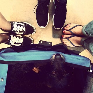 Blanca Suárez feet photo thumbnail