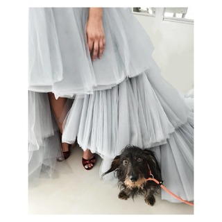 Blanca Suárez feet photo thumbnail