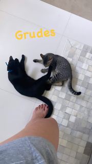 Franciely Freduzeski feet photo thumbnail