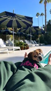 Nina Agdal feet photo thumbnail