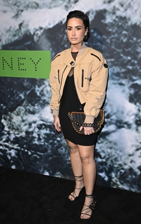 Demi Lovato feet photo thumbnail