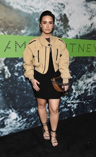 Demi Lovato feet photo thumbnail