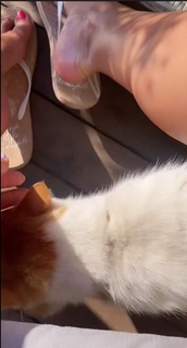 Edyta Górniak feet photo thumbnail