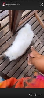 Edyta Górniak feet photo thumbnail